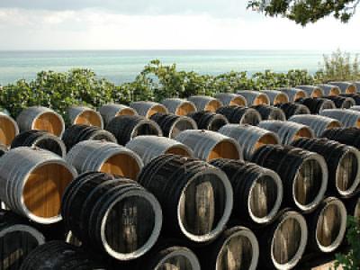 Основные типы вин: мадера и малага